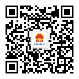 望城區人民政府網二維碼